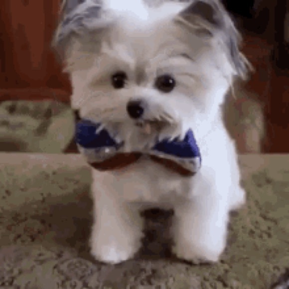 elainehill71